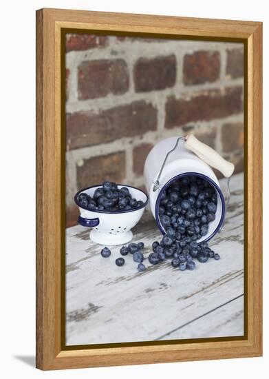 Bilberries with Enamelware-Andrea Haase-Framed Premier Image Canvas