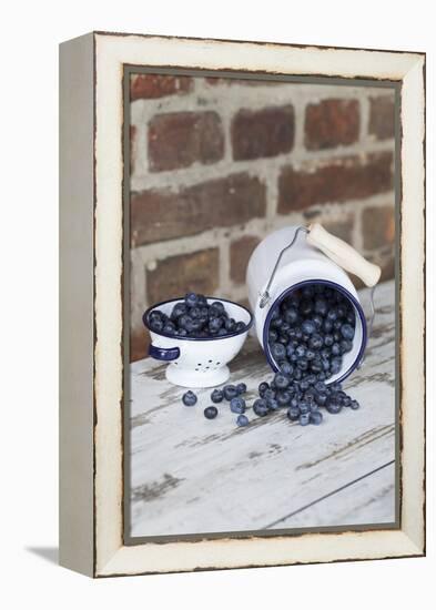 Bilberries with Enamelware-Andrea Haase-Framed Premier Image Canvas