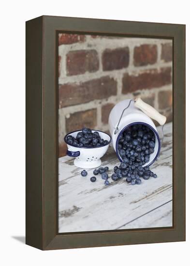 Bilberries with Enamelware-Andrea Haase-Framed Premier Image Canvas