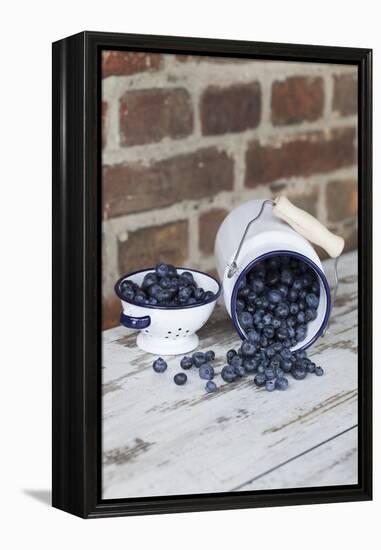 Bilberries with Enamelware-Andrea Haase-Framed Premier Image Canvas