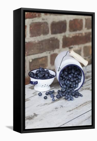 Bilberries with Enamelware-Andrea Haase-Framed Premier Image Canvas