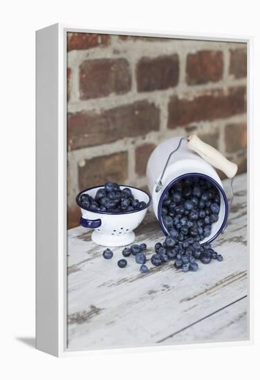 Bilberries with Enamelware-Andrea Haase-Framed Premier Image Canvas