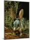 Photographic Print