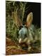 Photographic Print