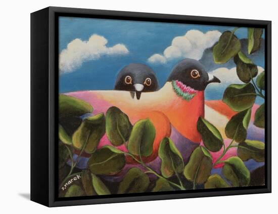 Bill and Coo-Jerzy Marek-Framed Premier Image Canvas