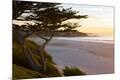 Premium Photographic Print
