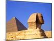 Premium Photographic Print
