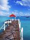 Premium Photographic Print