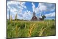 Photographic Print