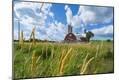 Photographic Print