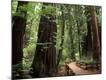 Photographic Print