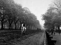 Rider on Horseback in Hyde Park-Bill Brandt-Premier Image Canvas