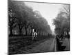 Photographic Print