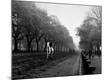 Photographic Print
