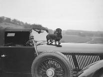 Dachshund standing on the bonnet of Charles Mortimers Bentley, c1930s-Bill Brunell-Photographic Print