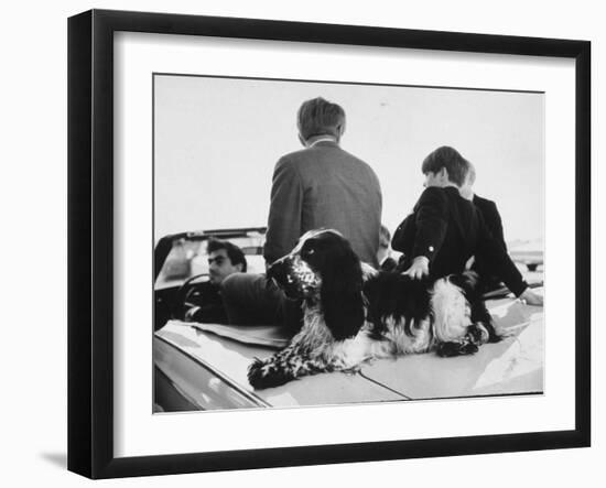 Photographic Print, , large