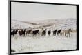 Photographic Print