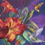Lily Pond Dove Grey-Bill Jackson-Giclee Print