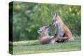 Stretched Canvas Print