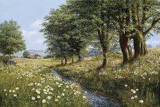 Beeches And Daisies-Bill Makinson-Giclee Print