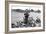 Bill Millin-American Photographer-Framed Photographic Print