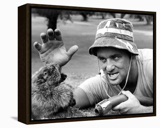 Bill Murray-null-Framed Stretched Canvas