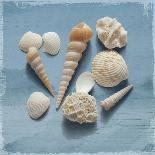 Driftwood Shells I-Bill Philip-Art Print