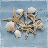 Shell Collection III-Bill Philip-Giclee Print