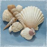 Shell Collection III-Bill Philip-Giclee Print