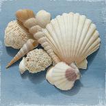Shell Collection IV-Bill Philip-Giclee Print