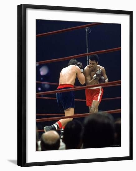 Premium Photographic Print, , large