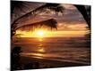 Premium Photographic Print