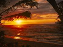 Sunset on the Ocean with Palm Trees, Oahu, HI-Bill Romerhaus-Photographic Print