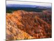 Premium Photographic Print