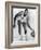 Bill Russell, American Basketball Player Who Played for the Boston Celtics, 1960s-null-Framed Photo