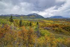 Mountains Of Aspens-Bill Sherrell-Photographic Print