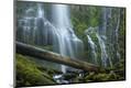 Premium Photographic Print