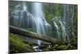 Photographic Print