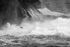 Antarctica, South Atlantic. Cormorant Flying over Frothing Sea-Bill Young-Photographic Print