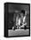 Billiards Player 1930S-null-Framed Premier Image Canvas