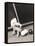 Billiards World Champion Willie Hoppe's Hand Was Insured for $100,000-null-Framed Stretched Canvas