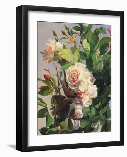 Billing and Cooing-Carl Balsgaard-Framed Giclee Print