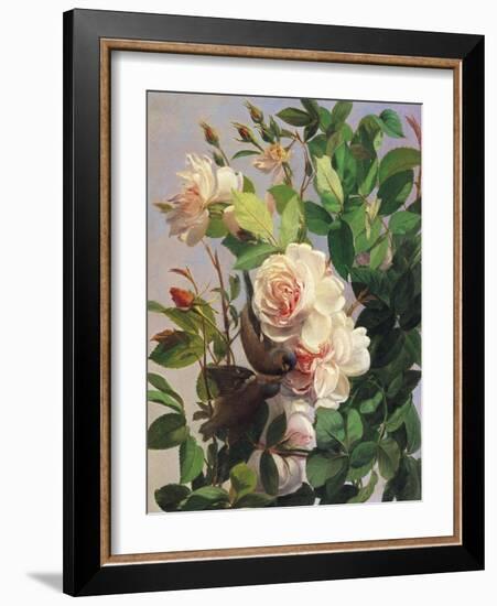 Billing and Cooing-Carl Balsgaard-Framed Giclee Print