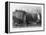 Billingsgate, London, 19th Century-J Woods-Framed Premier Image Canvas
