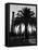 Billowing Palm Tree Gracing the Stark Structures of Towering Oil Rigs-Alfred Eisenstaedt-Framed Premier Image Canvas