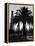 Billowing Palm Tree Gracing the Stark Structures of Towering Oil Rigs-Alfred Eisenstaedt-Framed Premier Image Canvas