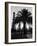 Billowing Palm Tree Gracing the Stark Structures of Towering Oil Rigs-Alfred Eisenstaedt-Framed Photographic Print