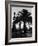 Billowing Palm Tree Gracing the Stark Structures of Towering Oil Rigs-Alfred Eisenstaedt-Framed Photographic Print