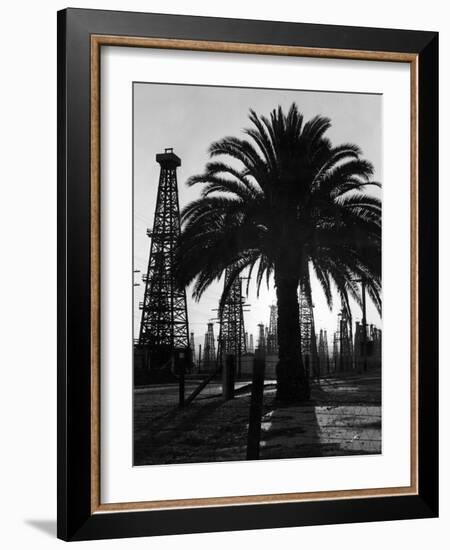 Billowing Palm Tree Gracing the Stark Structures of Towering Oil Rigs-Alfred Eisenstaedt-Framed Photographic Print