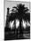 Billowing Palm Tree Gracing the Stark Structures of Towering Oil Rigs-Alfred Eisenstaedt-Mounted Photographic Print